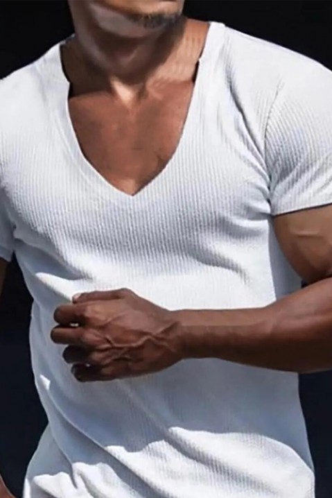 Muška majica LERONLI WHITE, Boja: bijela, IVET.HR - MODERNA ODJEĆA