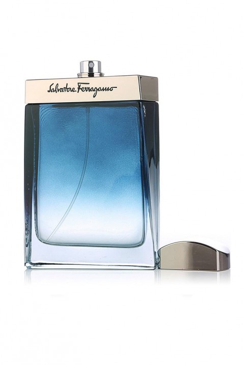 Parfem Salvatore Ferragamo Subtil Pour Homme EDT 100 mlIVET.HR - MODERNA ODJEĆA
