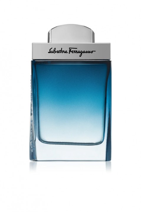 Parfem Salvatore Ferragamo Subtil Pour Homme EDT 100 mlIVET.HR - MODERNA ODJEĆA