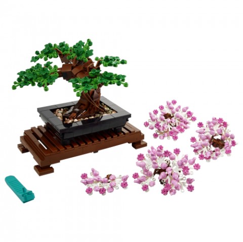 10281 | Bonsai drvoIVET.HR - MODERNA ODJEĆA
