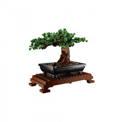 10281 | Bonsai drvoIVET.HR - MODERNA ODJEĆA