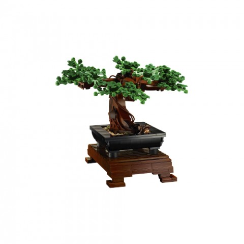 10281 | Bonsai drvoIVET.HR - MODERNA ODJEĆA