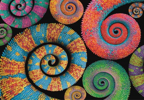 Puzzle Clementoni od 500 dijelova - SpiralaIVET.HR - MODERNA ODJEĆA