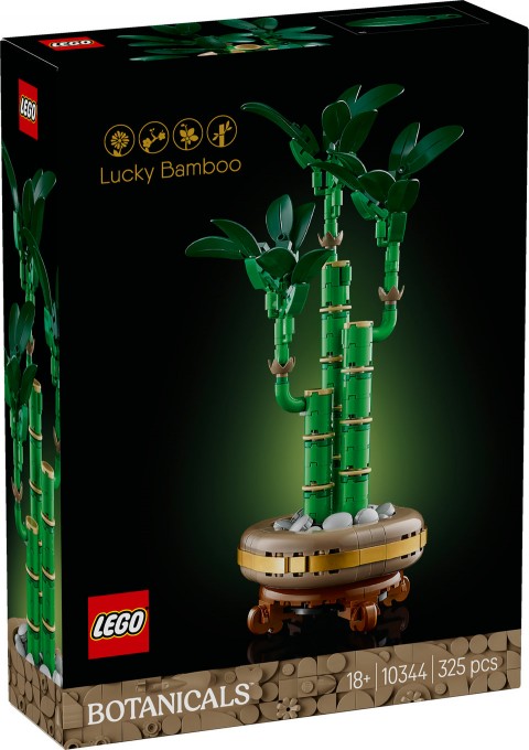10344 | Dracena SanderaIVET.HR - MODERNA ODJEĆA