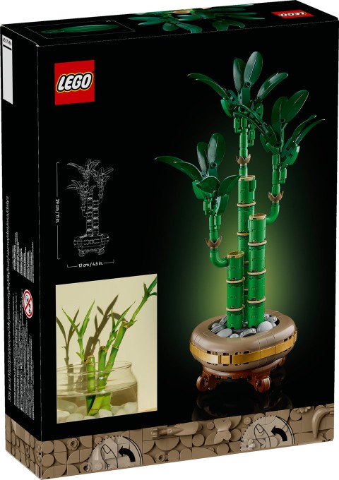 10344 | Dracena SanderaIVET.HR - MODERNA ODJEĆA