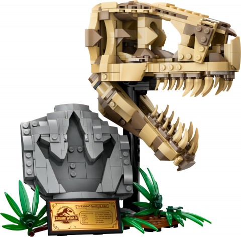 76964 | Kosturi dinosaura - lubanja tiranosauraIVET.HR - MODERNA ODJEĆA