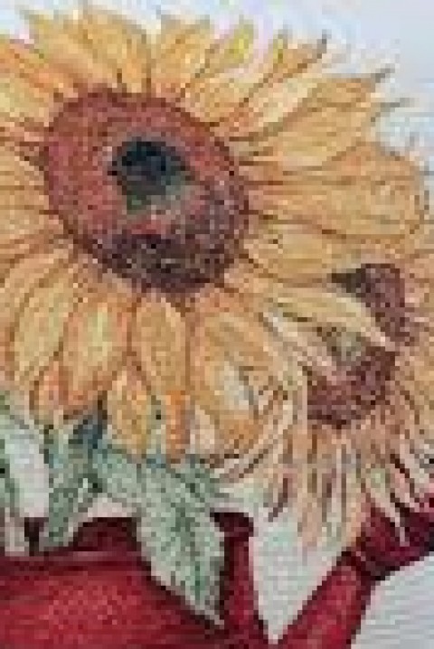 Jastučnica ZIODEXA 42х42 cm, Boja: višebojna, IVET.HR - MODERNA ODJEĆA