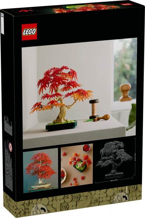 10348 – Bonsai Crveni japanski javorIVET.HR - MODERNA ODJEĆA