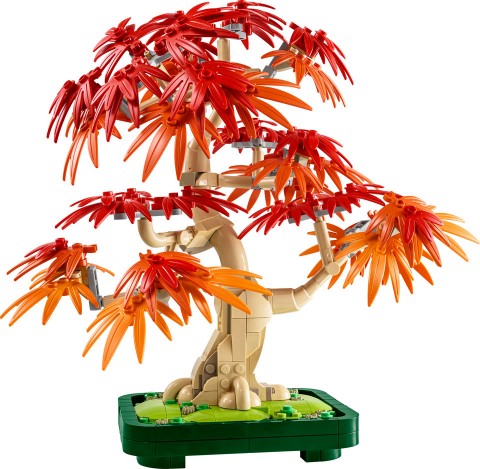 10348 – Bonsai Crveni japanski javorIVET.HR - MODERNA ODJEĆA