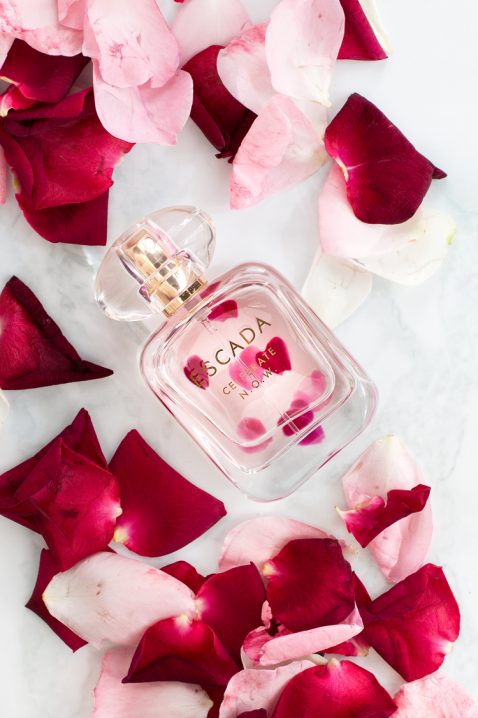 Parfem Escada Celebrate Now EDP 80 mlIVET.HR - MODERNA ODJEĆA