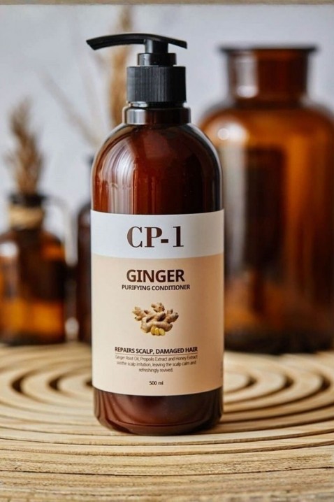 Esthetic House CP-1 Ginger Purifying Shampoo 500 mlIVET.HR - MODERNA ODJEĆA
