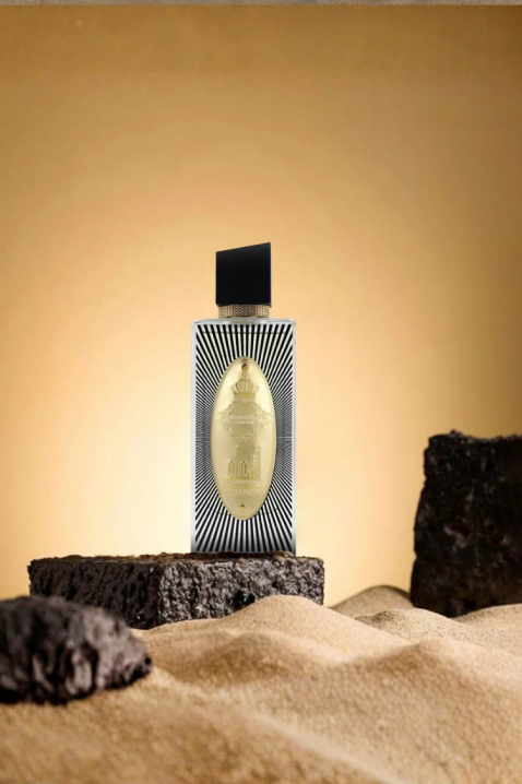 Arapski parfem Arabiyat Prestige Ash'aa Oud Noir EDP 110 mlIVET.HR - MODERNA ODJEĆA