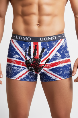 muške bokserice BRITIZO GREY